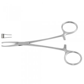 Jud-Allis Intestinal and Tissue Grasping Forceps 3 x 4 Teeth Stainless Steel, 15.5 cm - 6"